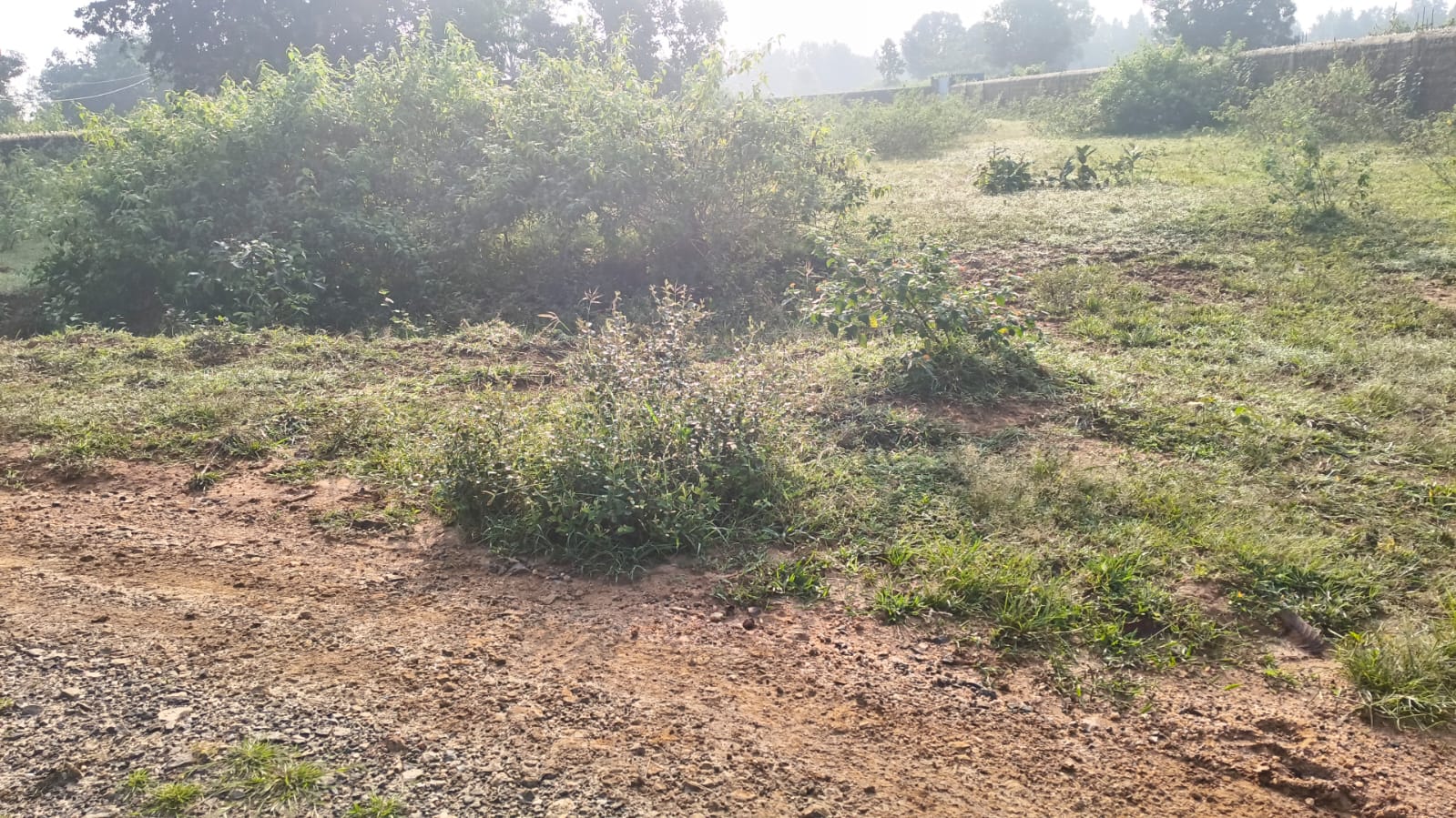 Land in Hazaribag (Sadar) | General Plots | www.hexireinfra.com | 8580333004